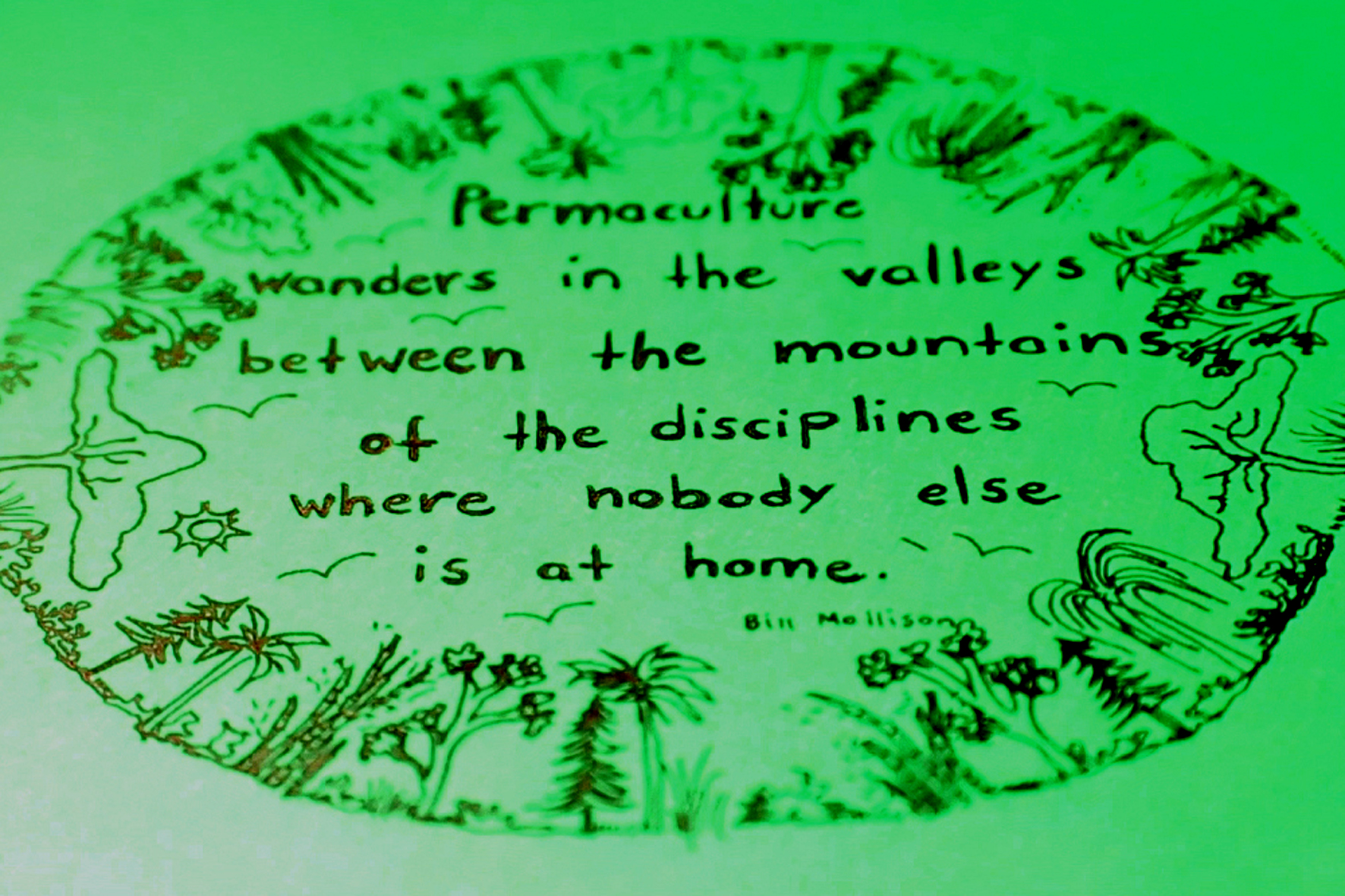 Bill Mollison quote - Kopie