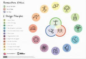 shop_principles_poster_800s1-300x300