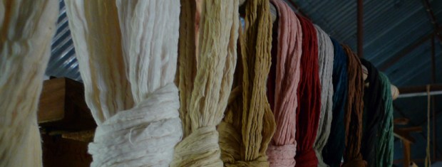 FEAT2015_12_Timbaktu 25 year anniversary_052